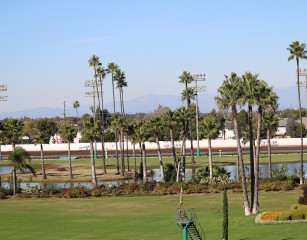 Los Alamitos