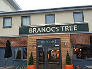 Branocs Tree, Hungry Horse outside