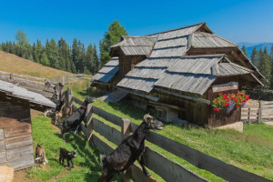 Schwarzseehutte outside