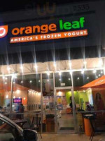 Orange Leaf Frozen Yogurt Se. Military Dr outside