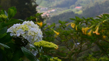 Restaurante Miradouro da Portela Lda food