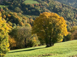 Ferme Auberge Du Hilsen food