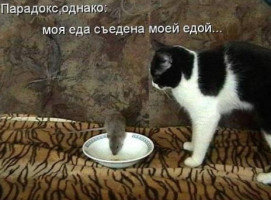 КормилецЪ food