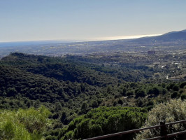 Ideal Collserola food