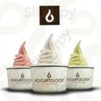 Yogurtology food