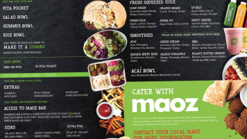 Maoz Falafel Grill food