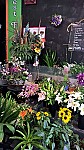 Best Florist & Espresso Bar outside