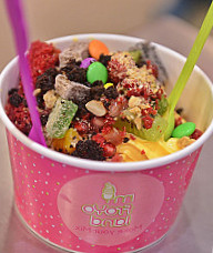 Myfroyoland Premium Frozen Yogurt