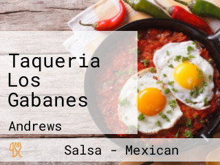 Taqueria Los Gabanes