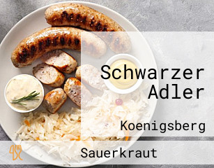 Schwarzer Adler