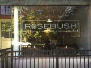 The Rosebush