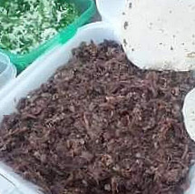 Barbacoa La Lupita