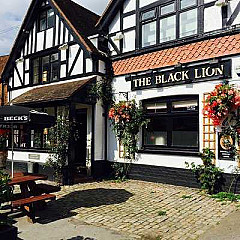 The Black Lion