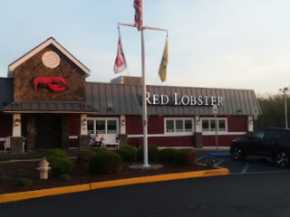 Red Lobster