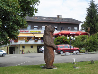 Grizzlybär