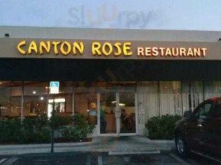 Canton Rose