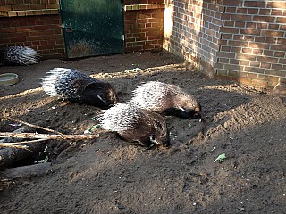 Tierpark Cottbus