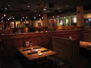 Outback Steakhouse