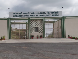 Ambardi Safari Park