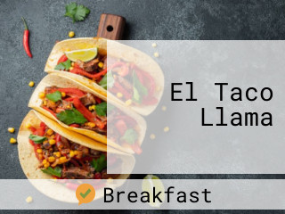 El Taco Llama