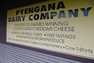 Pyengana Dairy Company