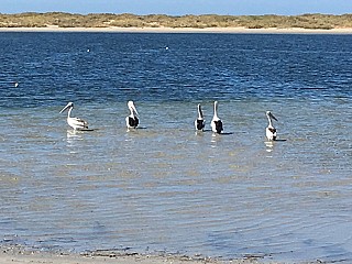 Boat Ramp Cafe