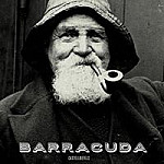 Barracuda