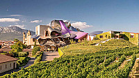 Gastronomico Marques De Riscal