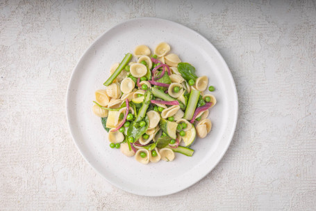 Orecchiette Salad