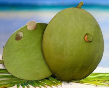 Opened Tender Coconut