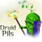 4. Druid Pils