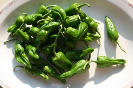 Pimientos Del Padron