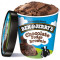 Ben Jerry's Chocolate Fudge Brownie Pint