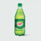 Bottle Canada Dry