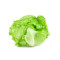 Lettuce Iceberg