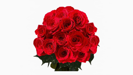 2 Dozen Red Roses