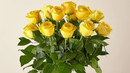 Long Stem Yellow Rose Bouquet