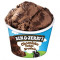 Ben Jerrys Chocolate Fudge Brownie 100 Ml