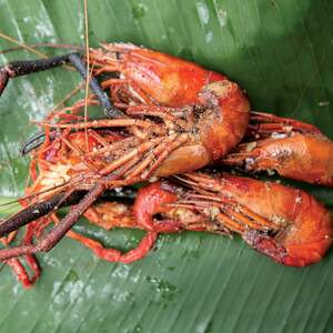 Gambas Al Ajillo