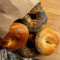 1/2 Tuzina Bagels