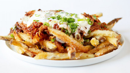 J3. Pulled Pork Fries